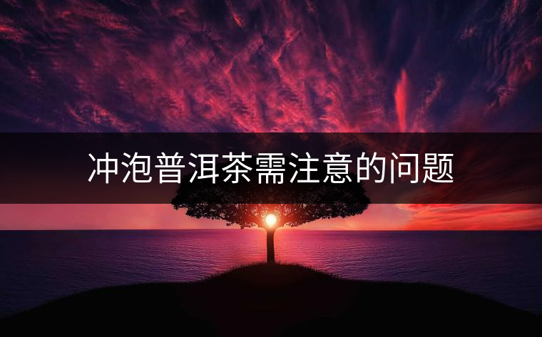 沖泡普洱茶需注意的問(wèn)題