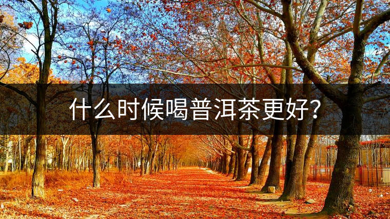 什么時候喝普洱茶更好？