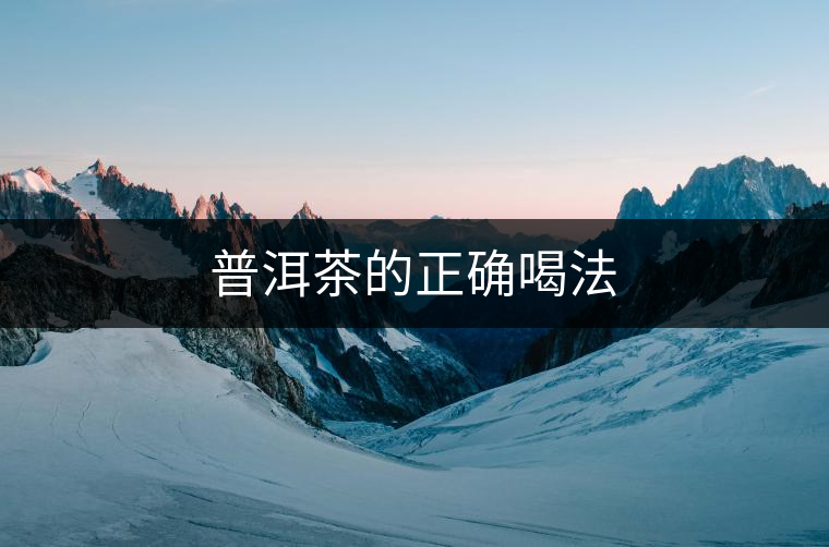 普洱茶的正確喝法
