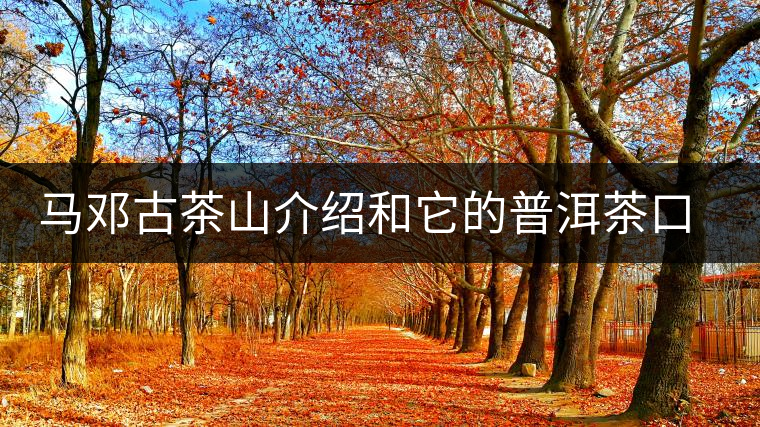馬鄧古茶山介紹和它的普洱茶口感特點