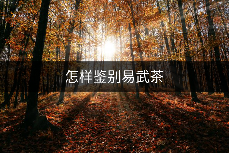 怎樣鑒別易武茶