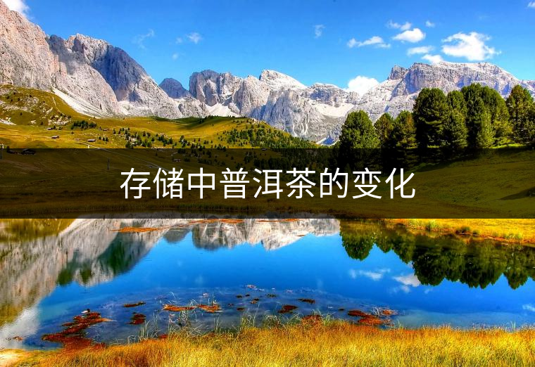 存儲(chǔ)中普洱茶的變化 存儲(chǔ)中普洱茶的變化