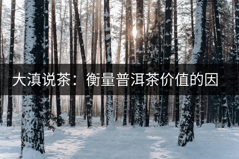大滇說茶：衡量普洱茶價值的因素