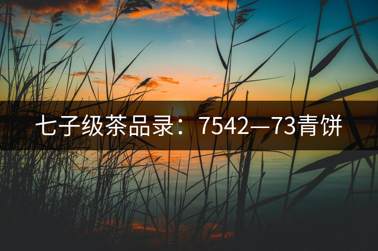 七子級茶品錄：7542—73青餅