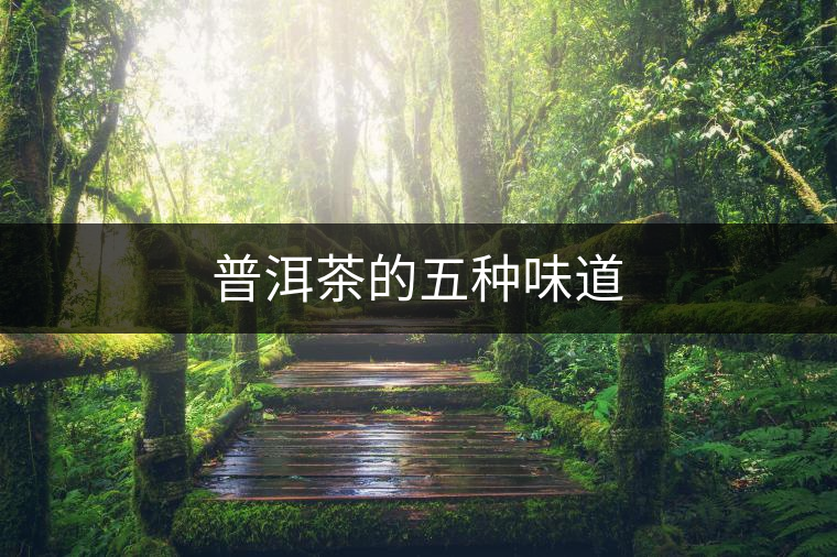 普洱茶的五種味道