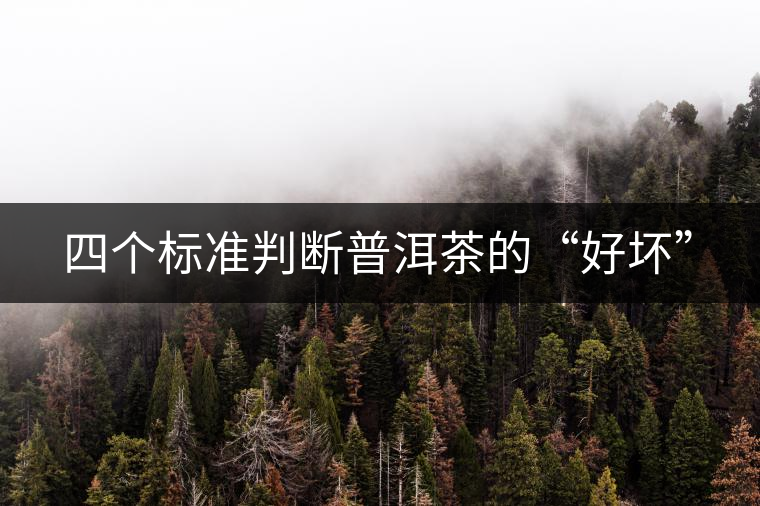 四個標準判斷普洱茶的“好壞”