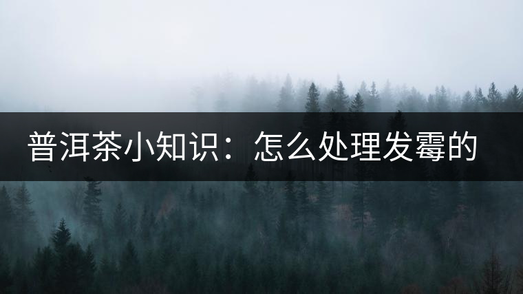 普洱茶小知識：怎么處理發(fā)霉的普洱茶