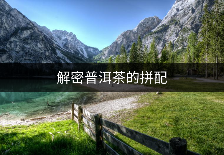 解密普洱茶的拼配