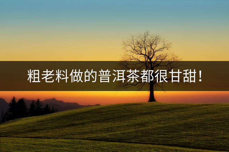 粗老料做的普洱茶都很甘甜！