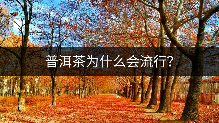 普洱茶為什么會(huì)流行？