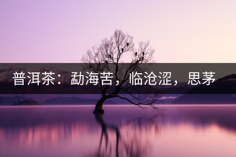 普洱茶：勐?？啵R滄澀，思茅淡，易武柔