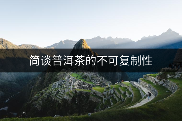 簡談普洱茶的不可復制性