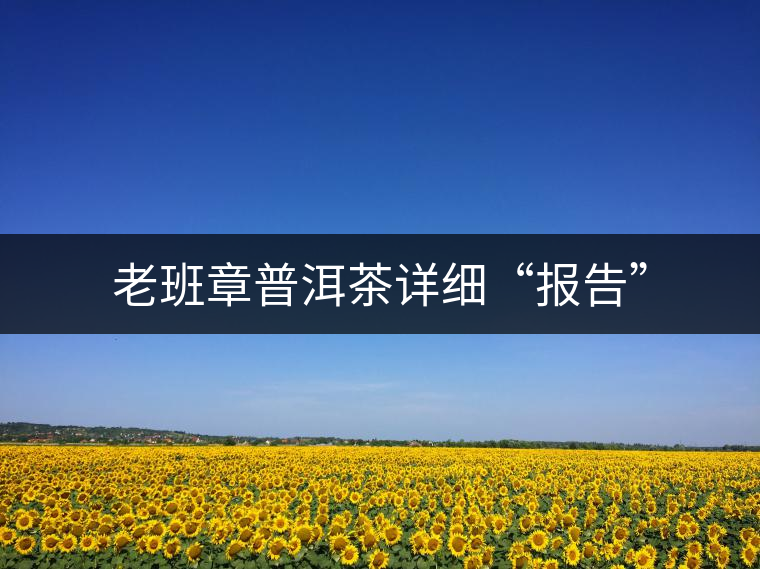老班章普洱茶詳細(xì)“報(bào)告” 老班章普洱茶詳細(xì)“報(bào)告”