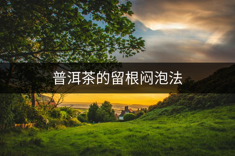 普洱茶的留根悶泡法