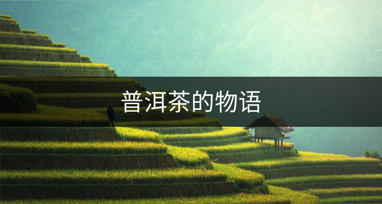 普洱茶的物語(yǔ)