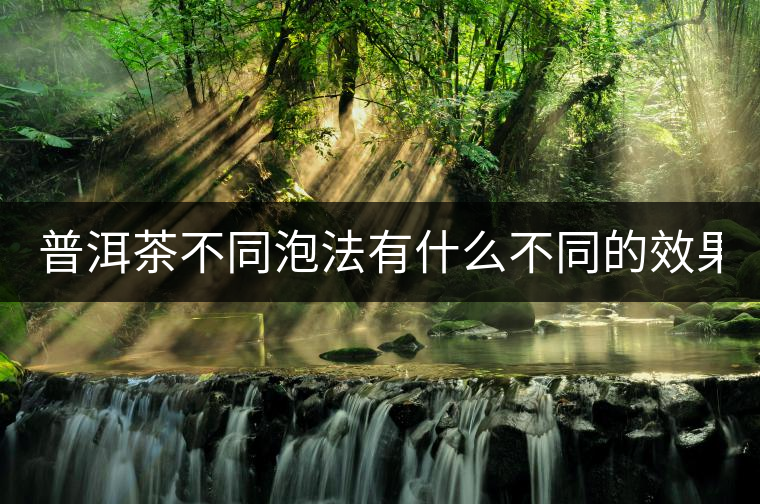 普洱茶不同泡法有什么不同的效果？