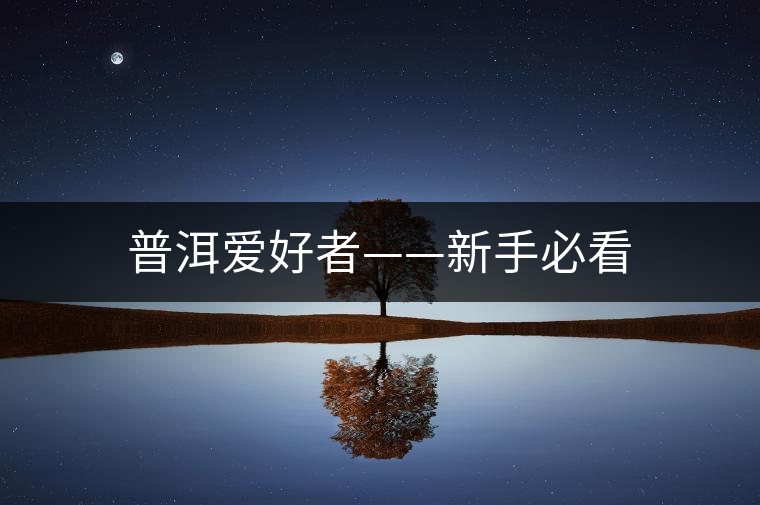 普洱愛好者——新手必看