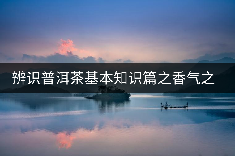 辨識(shí)普洱茶基本知識(shí)篇之香氣之辨