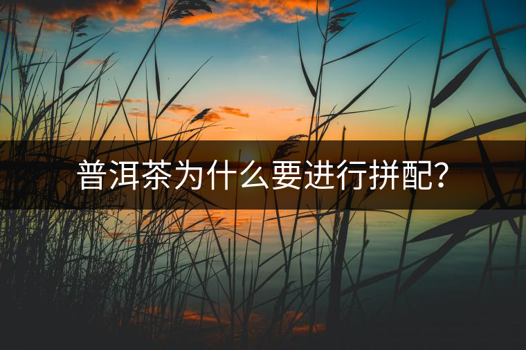普洱茶為什么要進(jìn)行拼配？