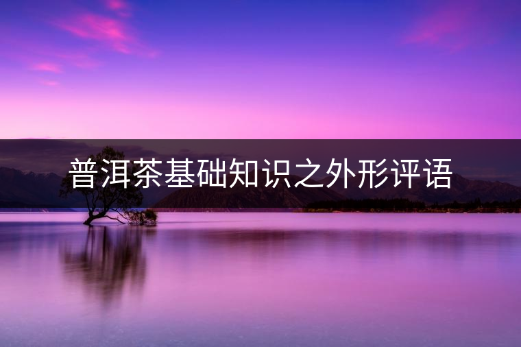 普洱茶基礎(chǔ)知識(shí)之外形評(píng)語