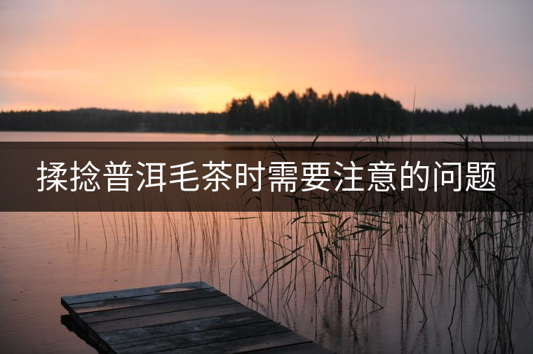 揉捻普洱毛茶時(shí)需要注意的問題