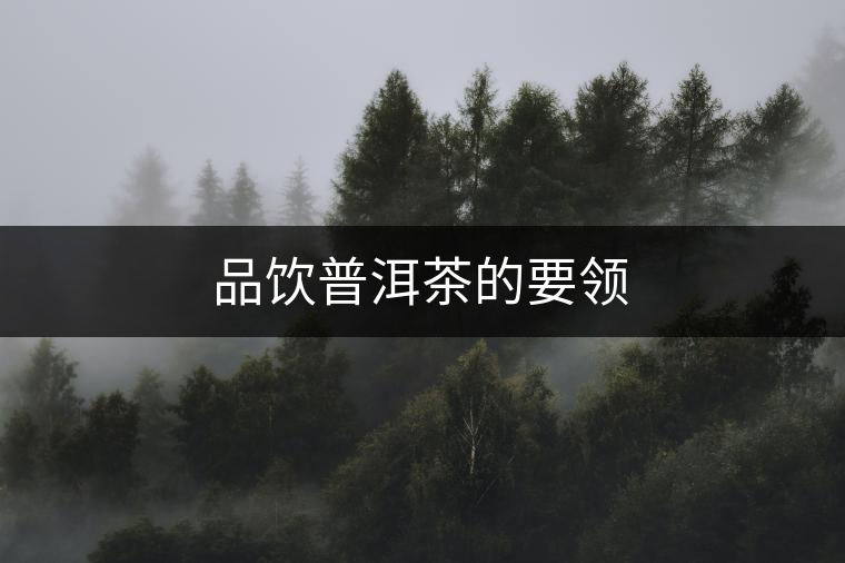品飲普洱茶的要領(lǐng)