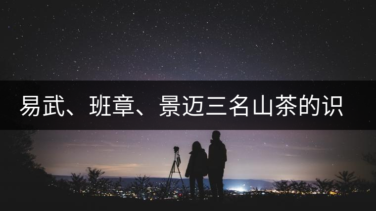 易武、班章、景邁三名山茶的識別