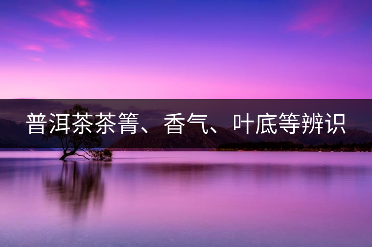 普洱茶茶箐、香氣、葉底等辨識