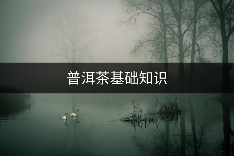普洱茶基礎知識