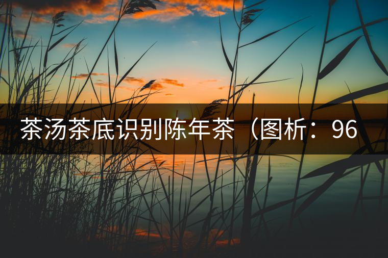 茶湯茶底識(shí)別陳年茶(圖析:96年青餅) 茶湯茶底識(shí)別陳年茶(圖析:96年青餅)