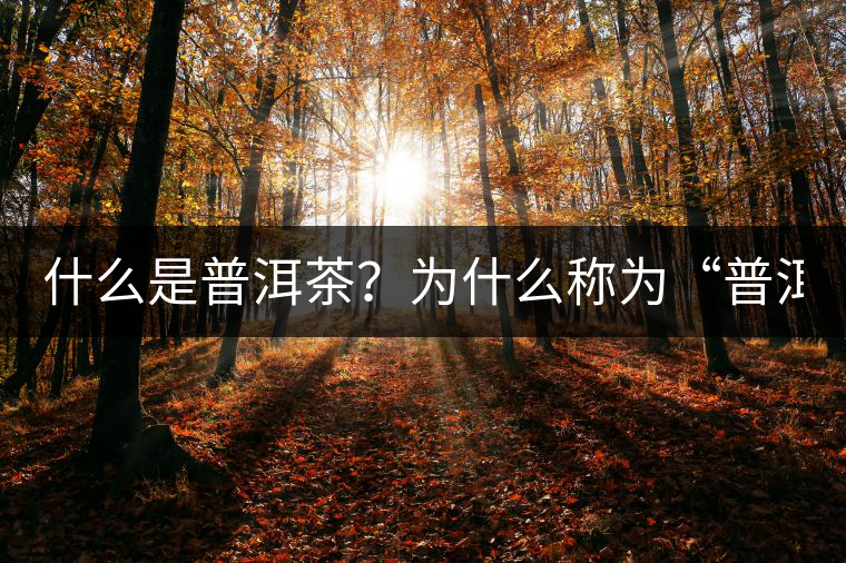 什么是普洱茶？為什么稱為“普洱”？