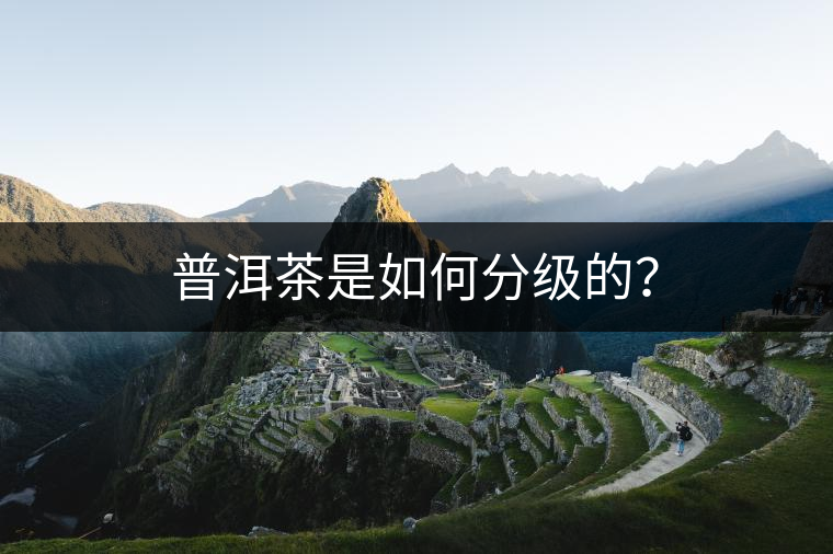 普洱茶是如何分級的？