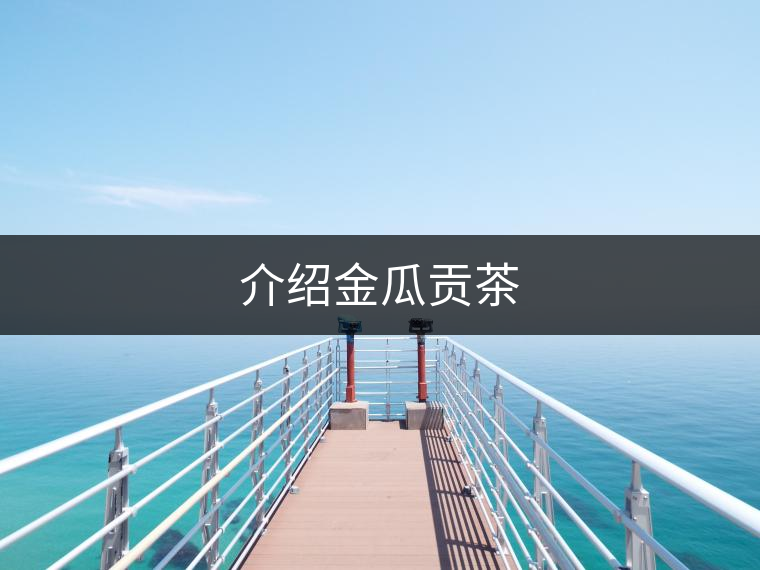 介紹金瓜貢茶