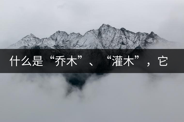 什么是“喬木”、“灌木”，它們之間有什么不同？