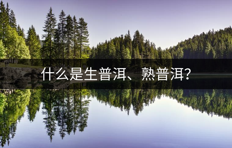什么是生普洱、熟普洱？