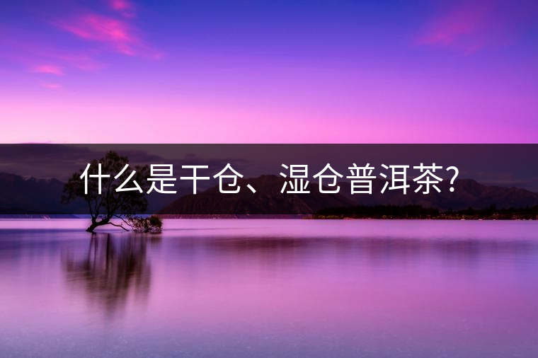 什么是干倉、濕倉普洱茶?