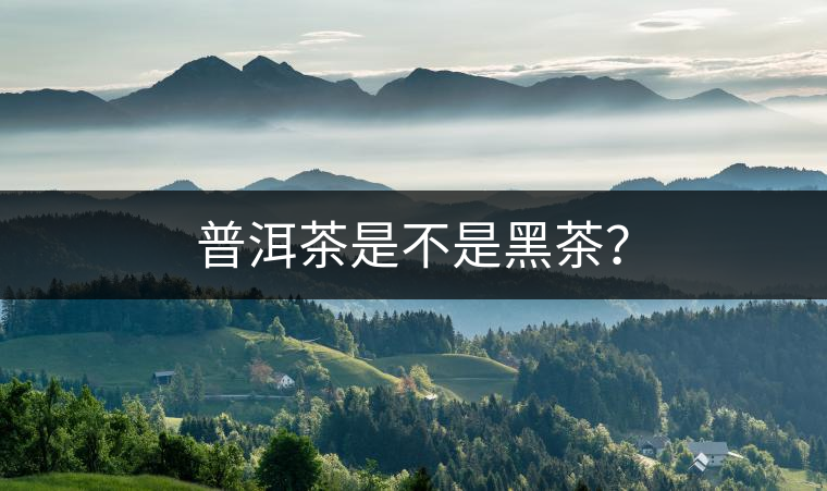 普洱茶是不是黑茶？