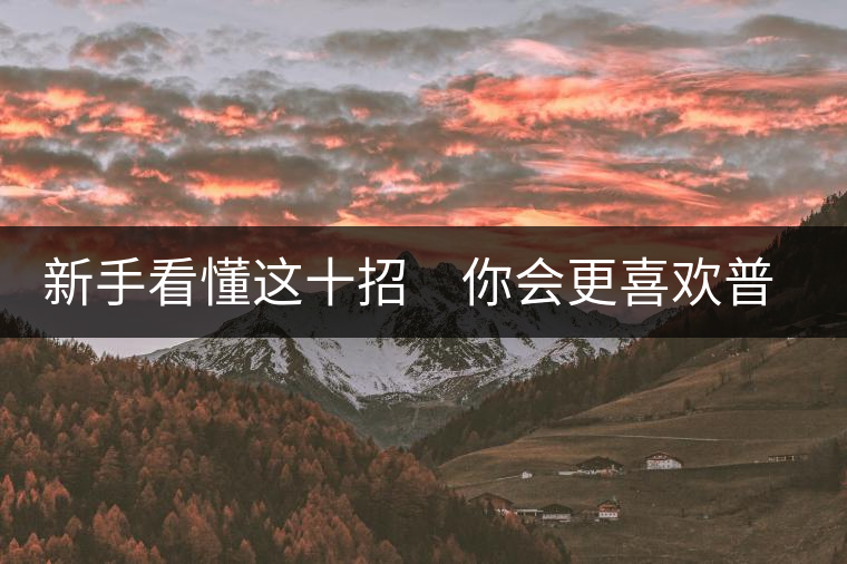 新手看懂這十招　你會更喜歡普洱茶