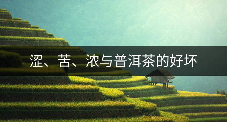 澀、苦、濃與普洱茶的好壞