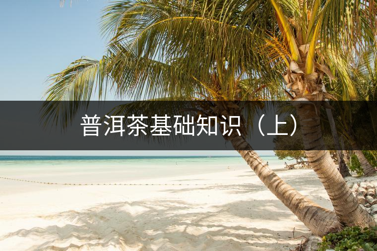 普洱茶基礎(chǔ)知識（上）