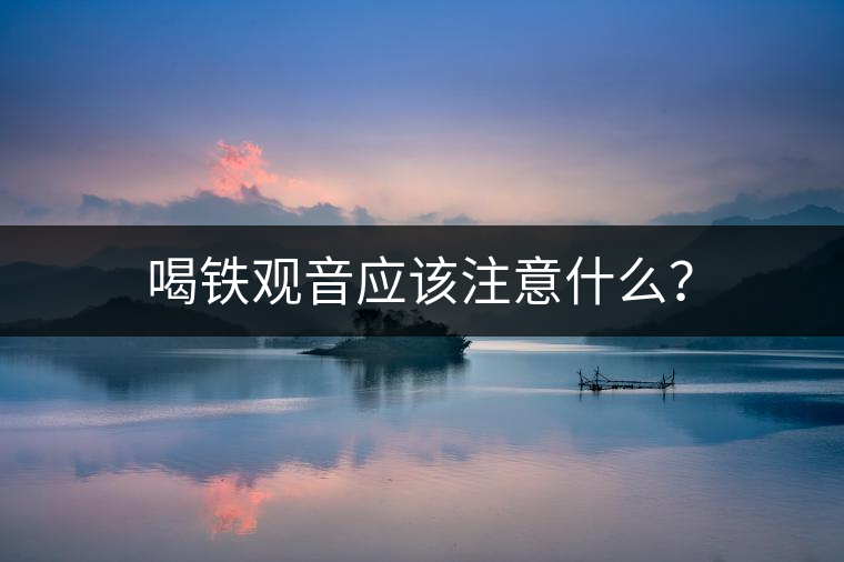 喝鐵觀音應(yīng)該注意什么？
