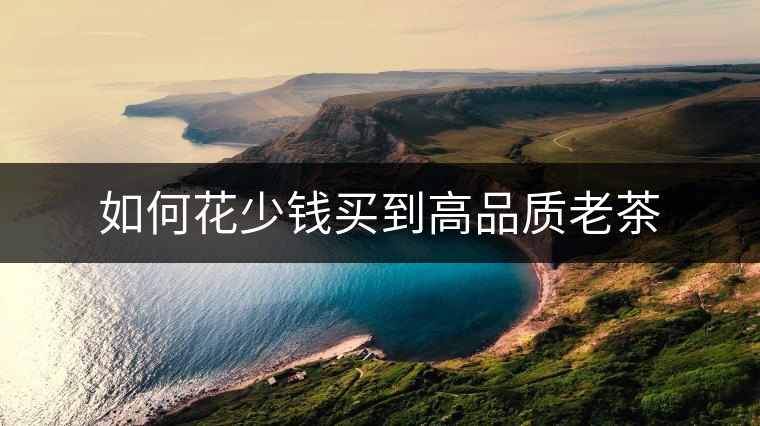 如何花少錢買到高品質(zhì)老茶 如何花少錢買到高品質(zhì)老茶