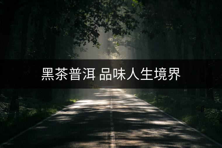 黑茶普洱 品味人生境界 黑茶普洱 品味人生境界