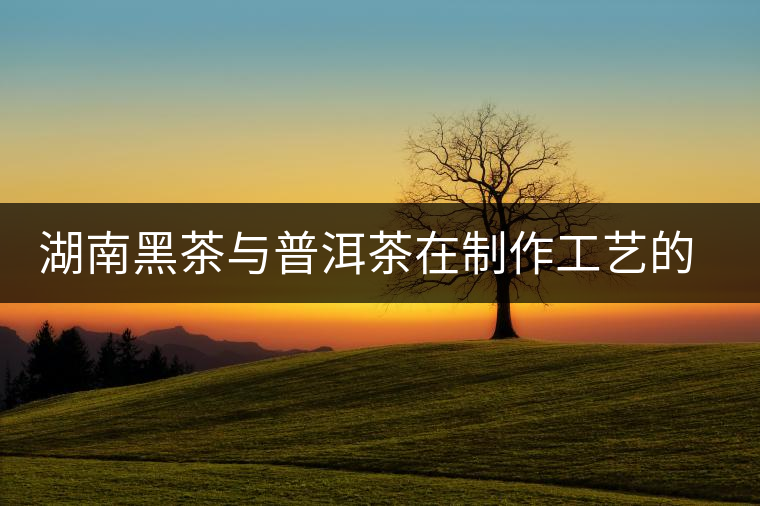 湖南黑茶與普洱茶在制作工藝的三大區(qū)別 湖南黑茶與普洱茶在制作工藝的三大區(qū)別