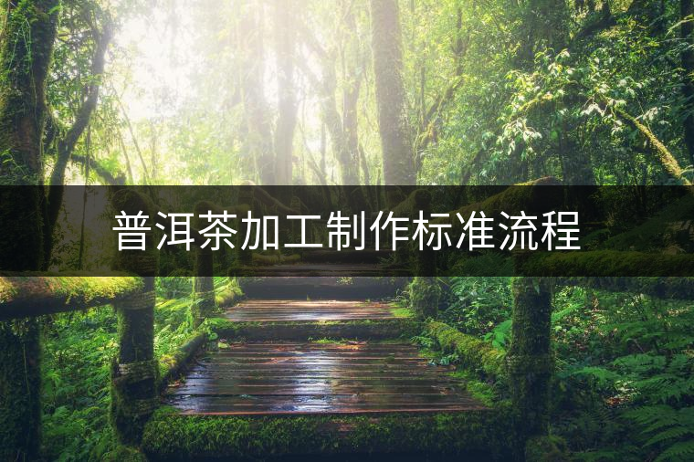 普洱茶加工制作標(biāo)準(zhǔn)流程