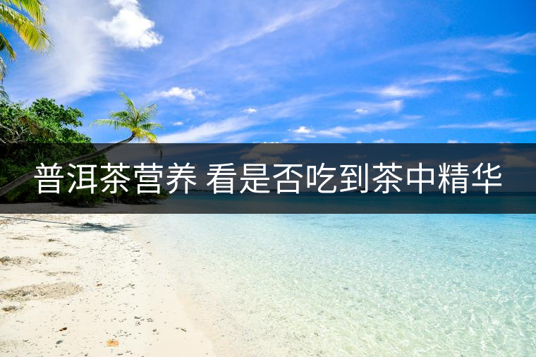 普洱茶營養(yǎng) 看是否吃到茶中精華