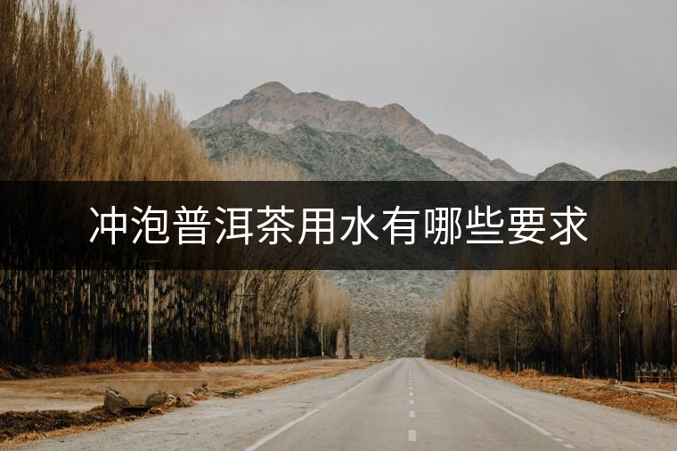 沖泡普洱茶用水有哪些要求