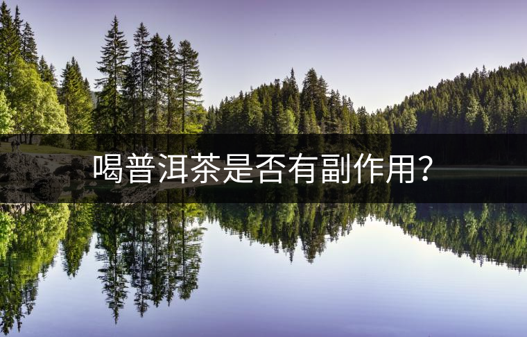 喝普洱茶是否有副作用？