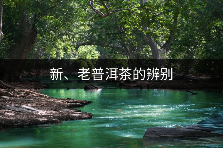 新、老普洱茶的辨別