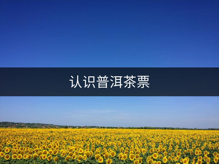 認(rèn)識普洱茶票
